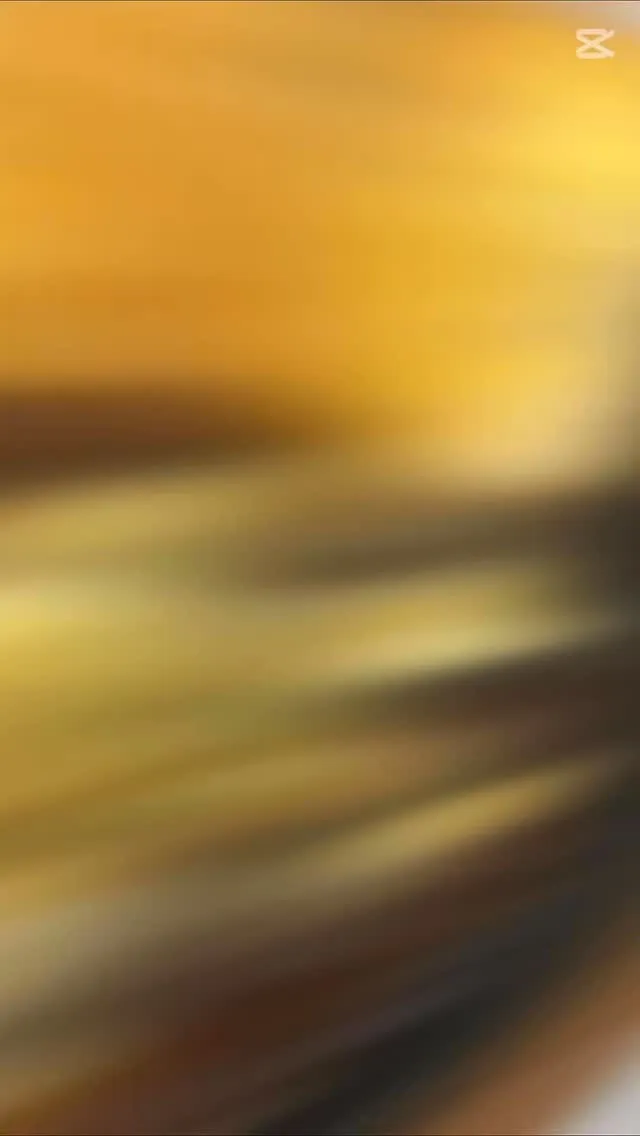 今まで作ってきたDAXDININGの料理！！